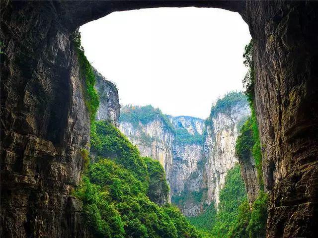 救援小巨鳄